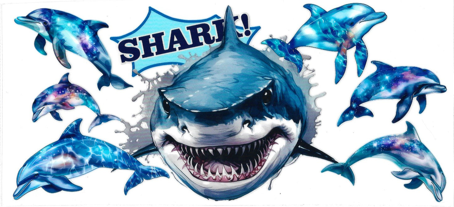 #502- Shark Life