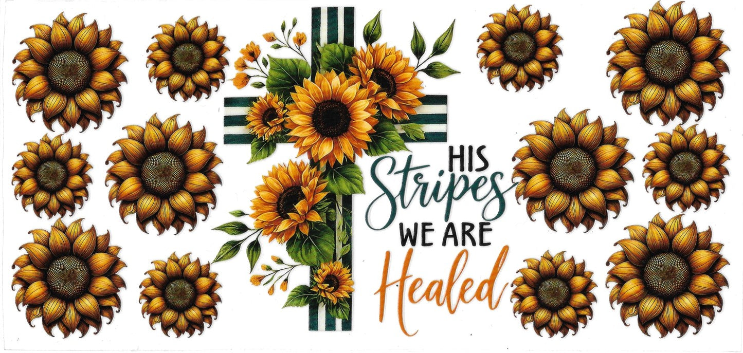 #291- "By His Stripes we are Healed"