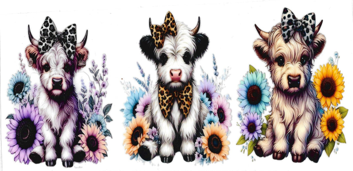 #413- Highland Cow (3 cows sunflowers)