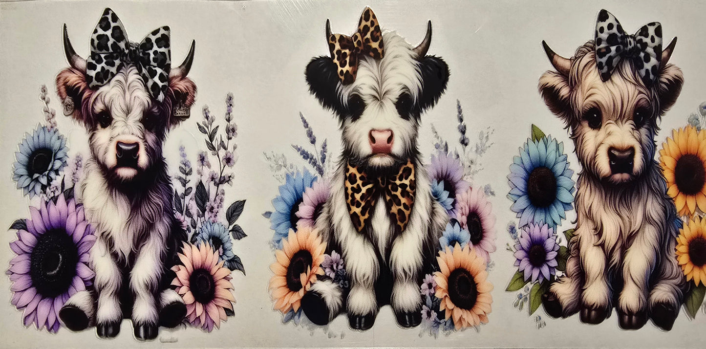 #413- Highland Cow (3 cows sunflowers)