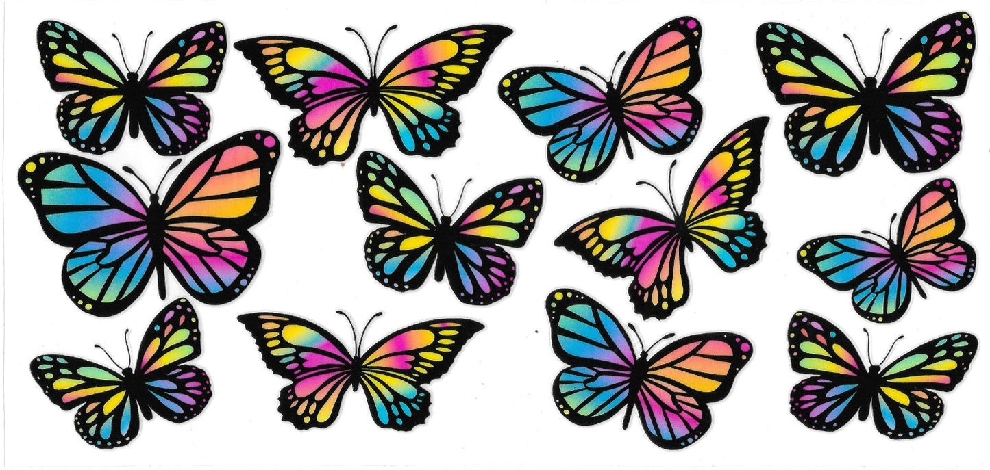 #323- Rainbow butterflies