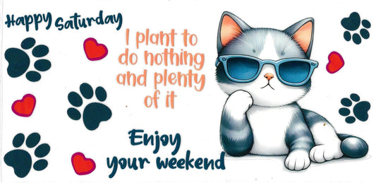 #204c- "Happy Saturday Cat"