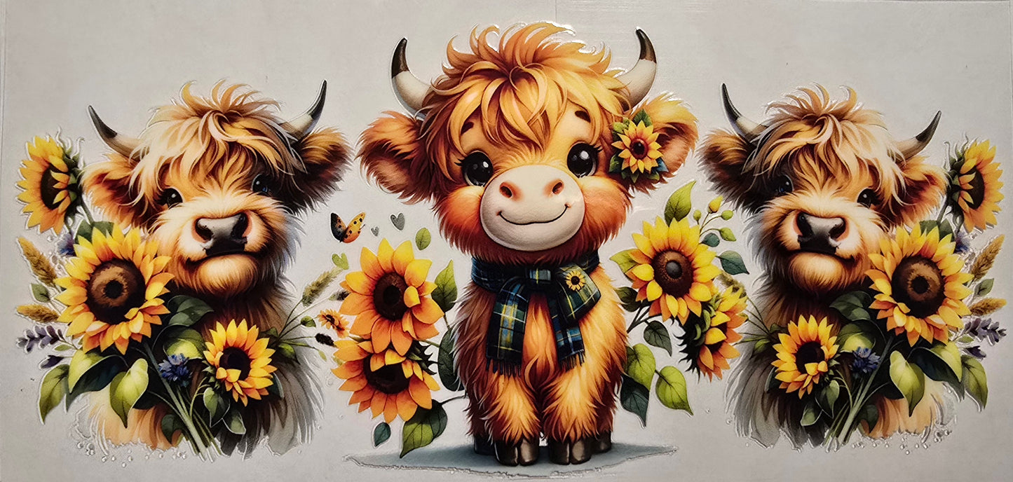 #422- Highland Cow- (Smiling sunflower cow)