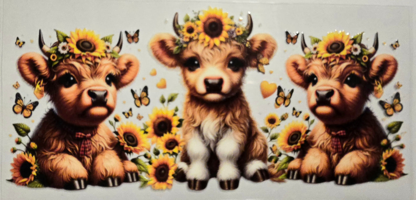 #416- Highland Cow (3 cows sunflowers)