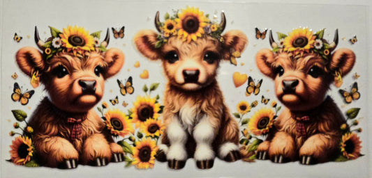 #416- Highland Cow (3 cows sunflowers)