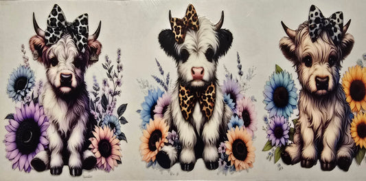 #413- Highland Cow (3 cows sunflowers)
