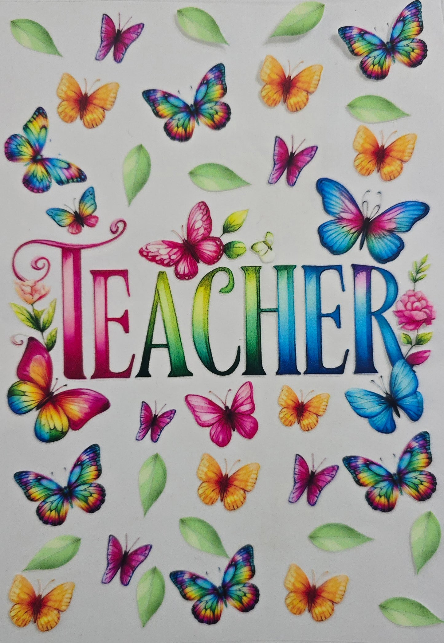 #642- Teacher