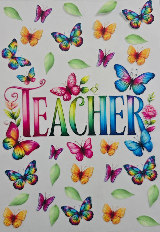 #642- Teacher